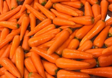 Fresh Carrot