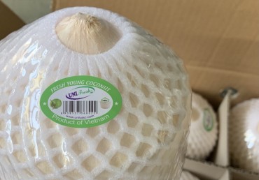 Diamond Young Coconut