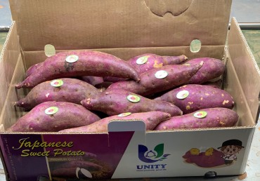 Japanese Yellow Sweet Potatoes